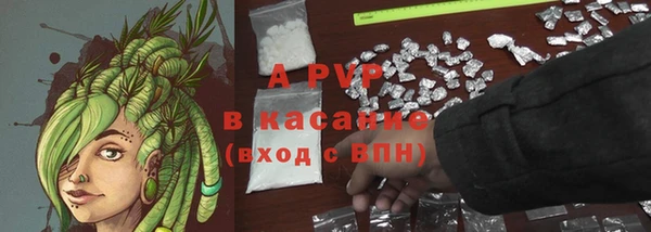 ГАЛЛЮЦИНОГЕННЫЕ ГРИБЫ Белокуриха
