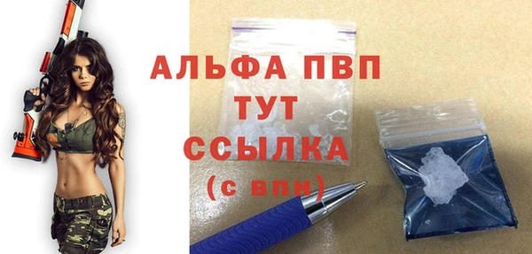 индика Протвино