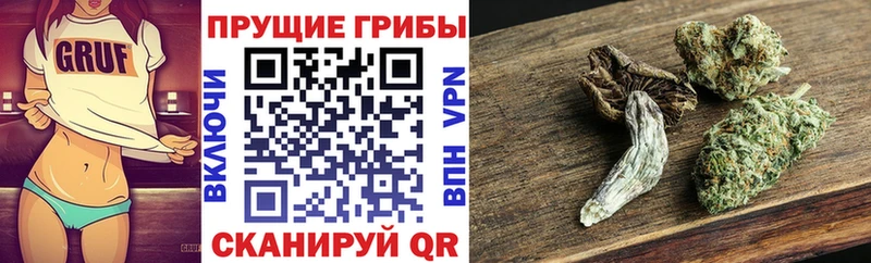 Псилоцибиновые грибы прущие грибы  shop официальный сайт  Маркс 